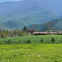 حافظیه ۱۲۰ متر نوساز‌ ویو آزاد (شقایق سند شهری)