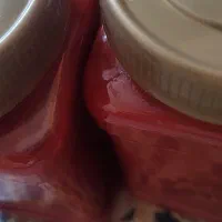 رب خانگی|خوردنی و آشامیدنی|خمینیشهر, |دیوار