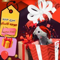 فروش جوجه کاسکو سرلاکی|پرنده|اصفهان, کوی امیریه|دیوار