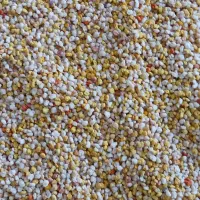 گرده گل