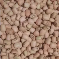 فروش لوبیا ریزه دستچین تمیز دره شهر