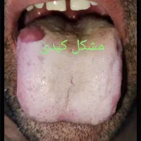 کار در خانه برای بانوان|فعالیت داوطلبانه|شیراز, شاهچراغ|دیوار