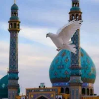 کاروان قم و جمکران سه شنبه ها همراه با شام|تور و چارتر|تهران, شهید رجایی|دیوار