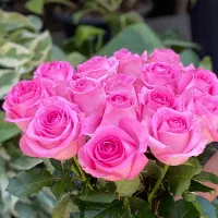 فروش دکور آرایشگاه زنانه و دستگاه کاشت ناخن