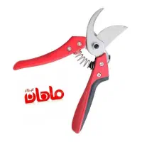 قیچی و اره باغبانی|ابزارآلات|زنجان, |دیوار