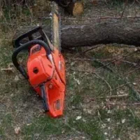 خدمات.چوب بری.خریدوفروش چوب (درختان میوه)