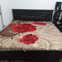 تخت خواب|تخت و سرویس خواب|تربت جام, معدآباد|دیوار