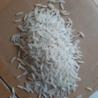 برنج طارم گرگان|خوردنی و آشامیدنی|تهران, فلاح|دیوار