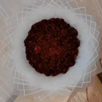 ۴۰ شاخه شاین دار