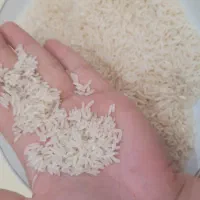 برنج هاشمی درجه یک برای دستک|خوردنی و آشامیدنی|لاهیجان, شهرک سلمان فارسی|دیوار