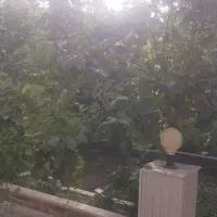 باغ ویلا بسیار تمیز و شیک|اجارهٔ کوتاهمدت ویلا و باغ|مشهد, میان ولایت|دیوار