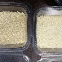 برنج کامفیروزی