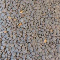 برنج و خرده برنج و حبوبات