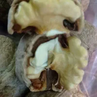 سبز