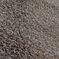 شادگان|موکت|شادگان, |دیوار
