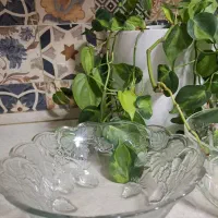 ظروف پذیرایی|ظروف سرو و پذیرایی|گنبد کاووس, |دیوار