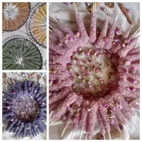 قند و نبات دمنوشی،پیاز ترشی،قهوه،شوینده|خوردنی و آشامیدنی|قم, گلزار|دیوار