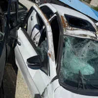 دناتوربوپلاس اتومات