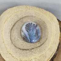 ۱۳ تا عقیق شجر قائن و هندی طبیعی