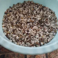 آکواریوم دلسا k250|ماهی|تهران, بهجت‌آباد|دیوار