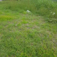 100متر زمین سند دار واقع در نامجو18 شهرکی