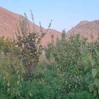 دوقباره باغ۱۴۵۰و۱۱۰۰متر مربع فروشی ومعاوضه و تهاتر|فروش خانه و ویلا|اصفهان, باغ زیار|دیوار