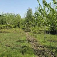 ۲۵۰مترزمین باغی/داخل طرح/سرمایه گذاری/کشل آزادسرا|فروش زمین و ملک کلنگی|آستانه اشرفیه, |دیوار