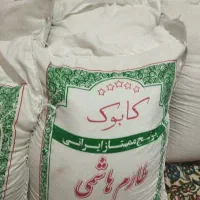 برنج اصل ایرانی محلی