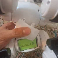 سگ رباطی|اسباب‌‌بازی|تهران, سلسبیل شمالی|دیوار