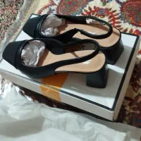 کفش مجلسی شیک 2/5 میلیون