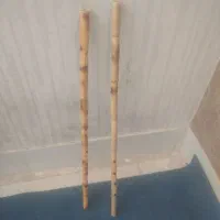 نی هفت بند ،بژ