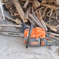 خرید چوب و پالت درخت