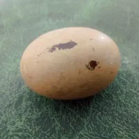 سنگ الماس آسیاب