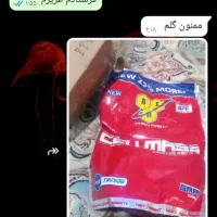 پودر جوانه گندم خوردنی|خوردنی و آشامیدنی|بیرجند, |دیوار