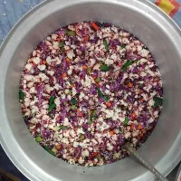 انواع ترشی کاملا بهداشتی و تمیز با مواد درجه یک