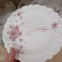 بشقاب آرکوپال وچاقو|ظروف سرو و پذیرایی|یزد, |دیوار