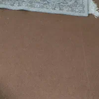 موکت|موکت|بجنورد, |دیوار