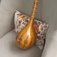 ساز سهتار مفاخری به همراه کیف|سازهای سنتی|رشت, چمارسرا|دیوار