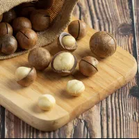 ماکادمیا 2XL( فندق استرالیای)|خوردنی و آشامیدنی|تربت جام, پاسداران|دیوار