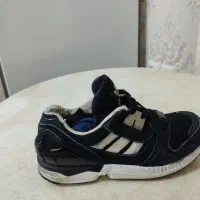کفش zx8000|کیف، کفش، کمربند|تهران, گمرک|دیوار