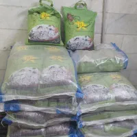 برنج غزال سبز۱۴۵۰ارسال رایگان|خوردنی و آشامیدنی|مشهد, شهرک امام هادی (شهرک غرب)|دیوار