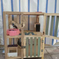 کبوتر|پرنده|شیراز, شیخ علی چوپان|دیوار