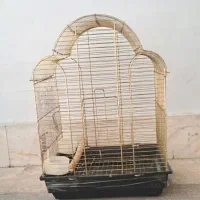 قفس های پرنده