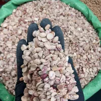 لوبیا *شکسته* چیتی *ایرانی* نصفه مناسب آش شله