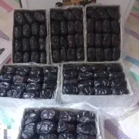 خرما/ خرمای صادراتی/ به صورت عمده و تناژی