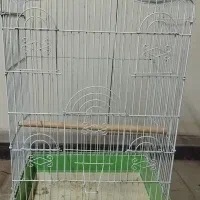 قفس بزرگ