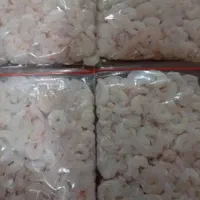 میگوی هندیجان