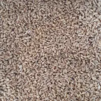 فروش گندم|حیوانات مزرعه|جوکار, |دیوار