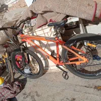 دوچرخه دندیی|دوچرخه، اسکیت، اسکوتر|سبزوار, قصبه شرقی|دیوار