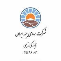 همکار خانم مسلط به سیستم